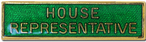 House representative pin - representative,