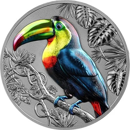 Rainbow tucan - tucan, hr