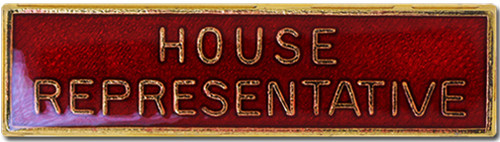House representative pin - house, badge