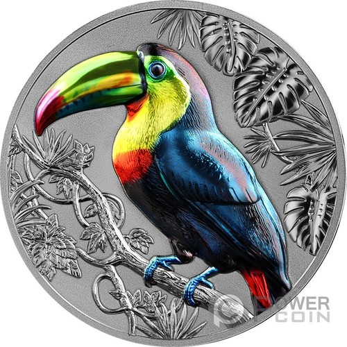 Rainbow toucan representatives - rainbow,